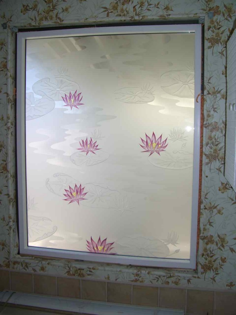 Privacy Window Glass Sans Soucie Art Glass