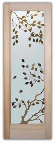 Frosted Gl Interior Doors Sans Soucie Art Frosted Gl Interior Doors